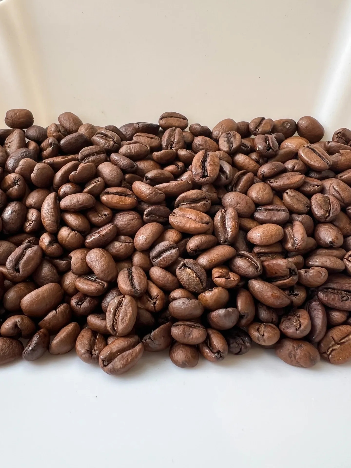 コーヒー発酵の魅力と和歌山県で味わう新しいカフェ体験