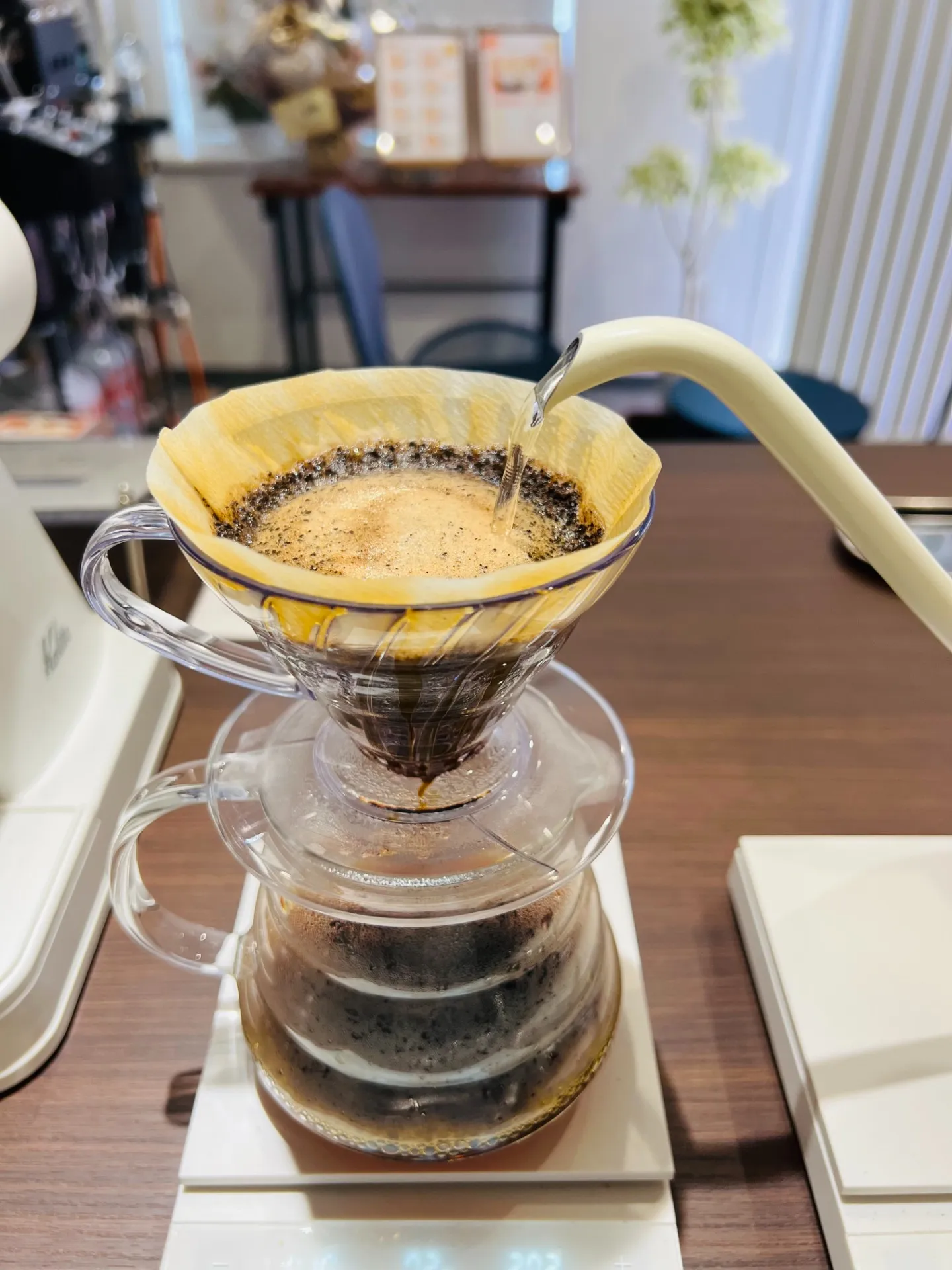 コーヒーの健康効果と和歌山県和歌山市での賢い取り入れ方を徹底解説